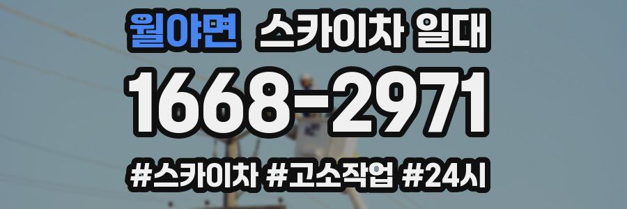 월야면 스카이차 일대
