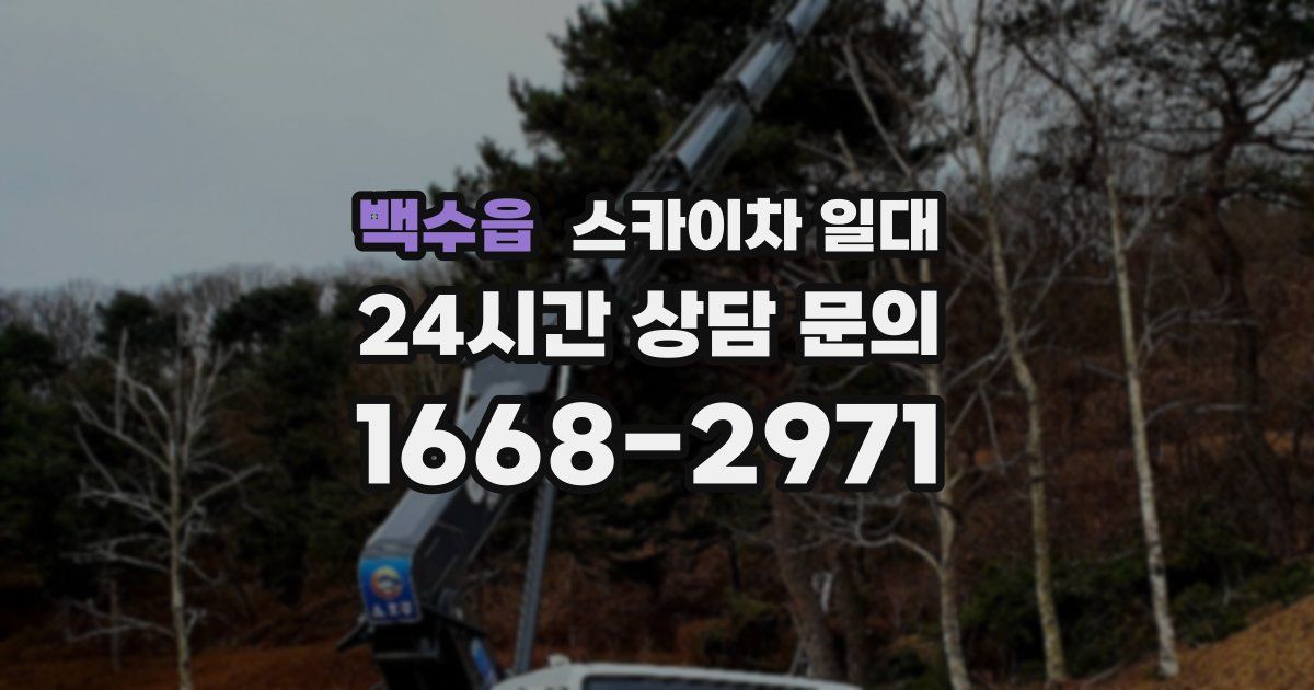 백수읍 스카이차 일대