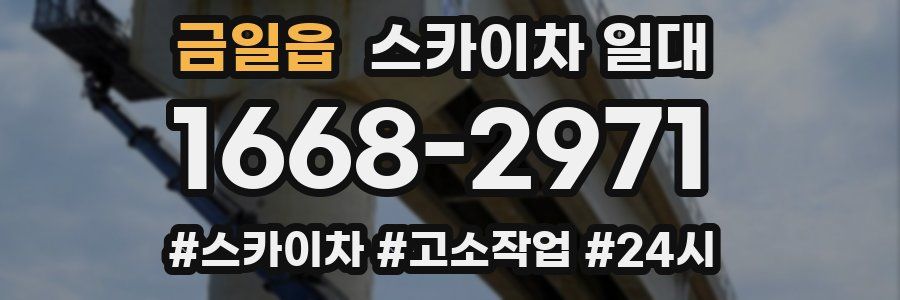 금일읍 스카이차 일대