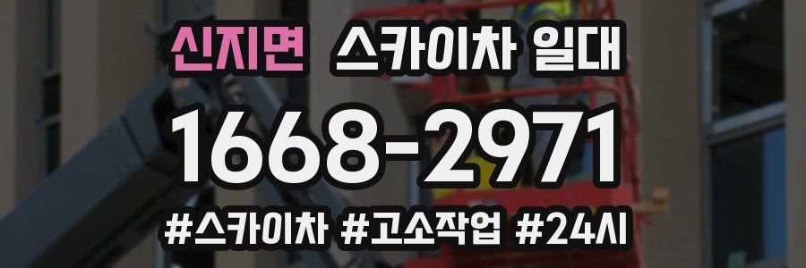 신지면 스카이차 일대
