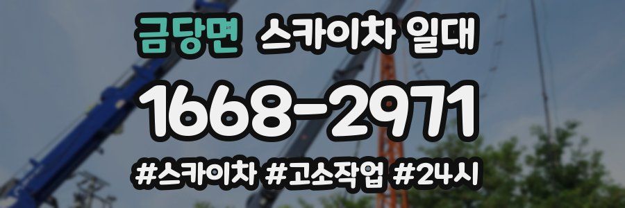 금당면 스카이차 일대