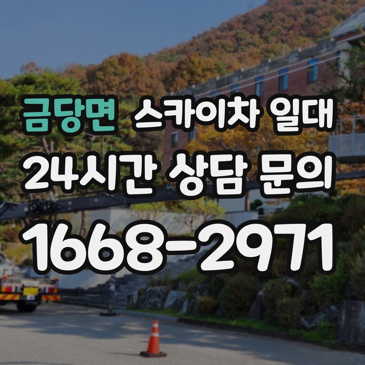 금당면 스카이차 일대