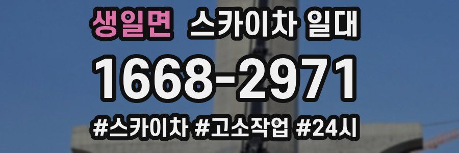 생일면 스카이차 일대