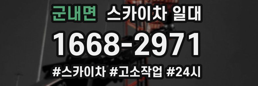 군내면 스카이차 일대