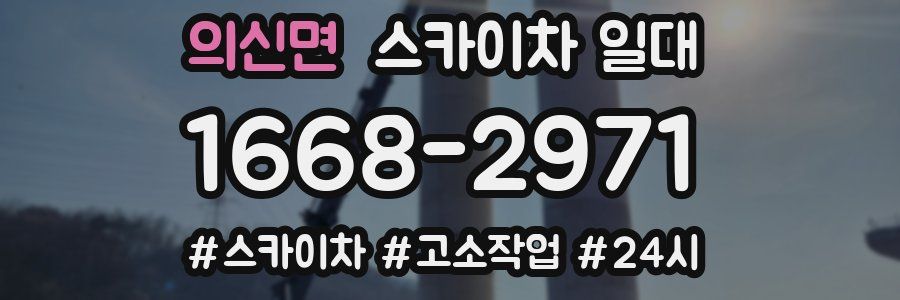 의신면 스카이차 일대