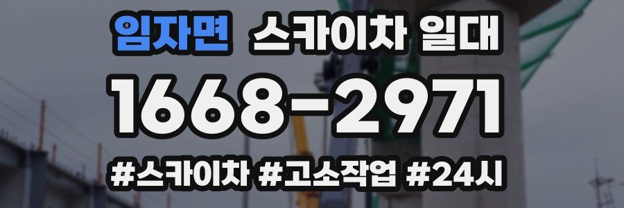 임자면 스카이차 일대