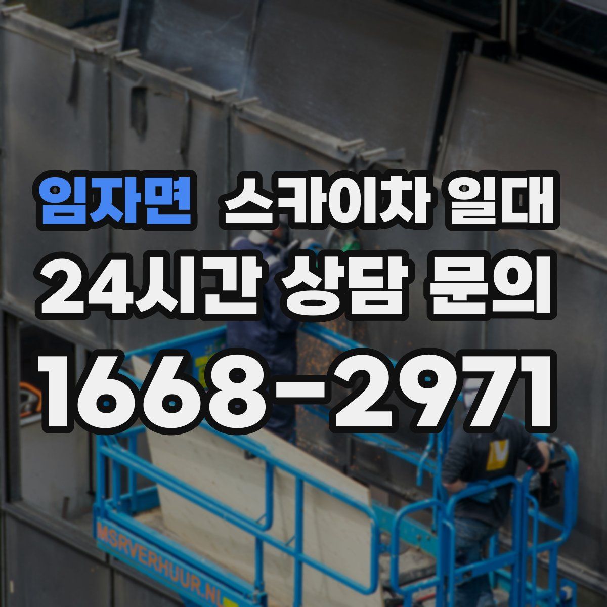 임자면 스카이차 일대