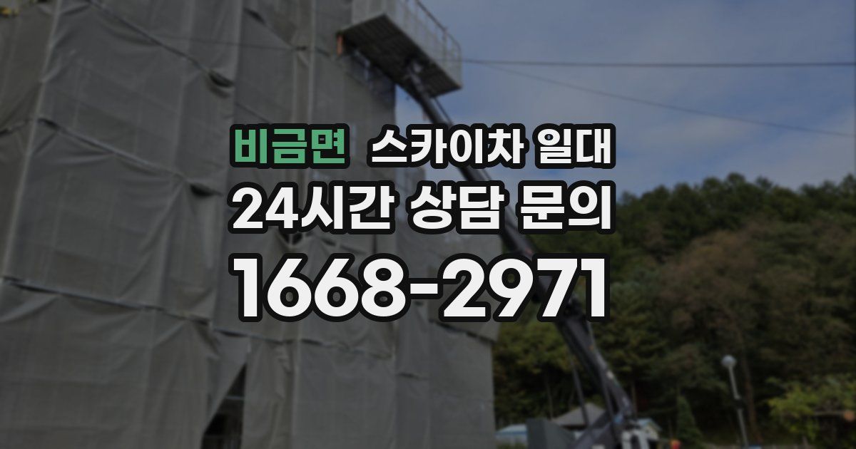 비금면 스카이차 일대