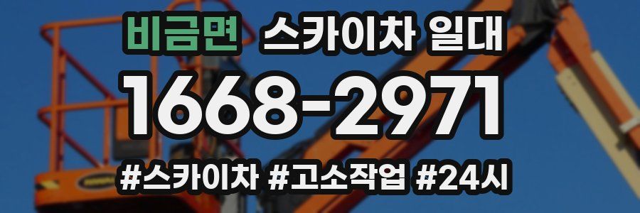 비금면 스카이차 일대