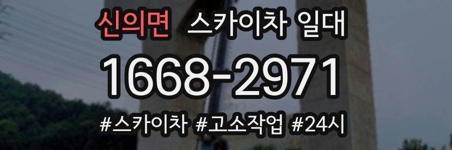 신의면 스카이차 일대