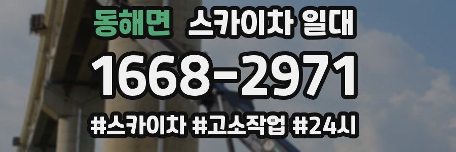 동해면 스카이차 일대