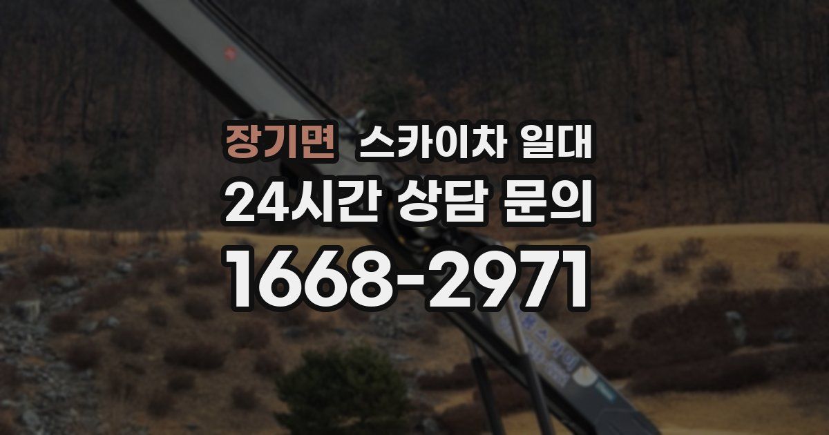 장기면 스카이차 일대