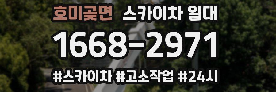 호미곶면 스카이차 일대