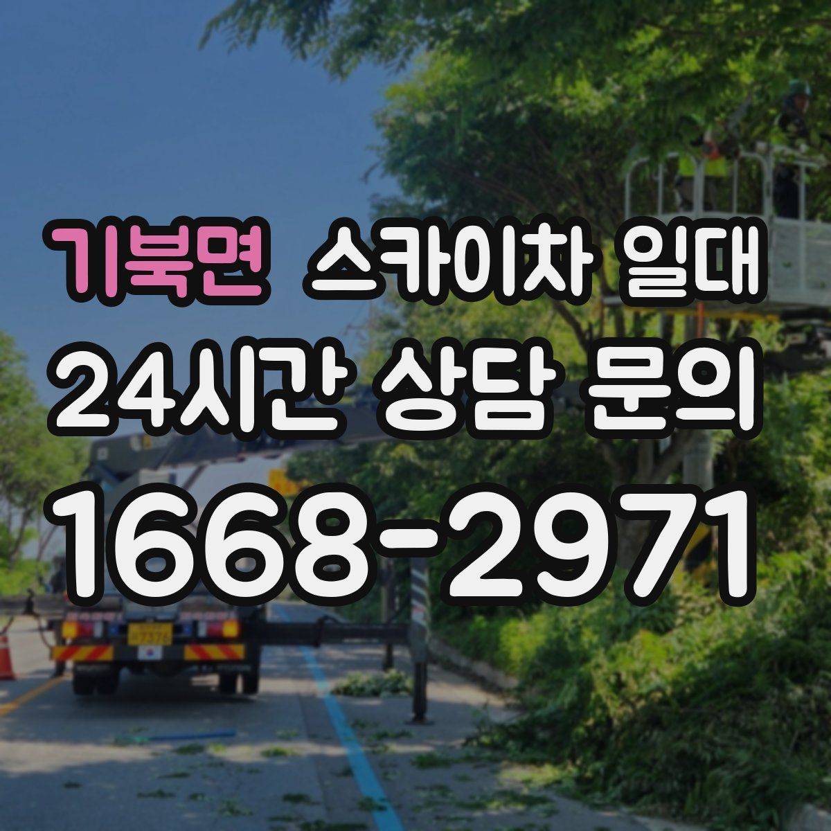 기북면 스카이차 일대