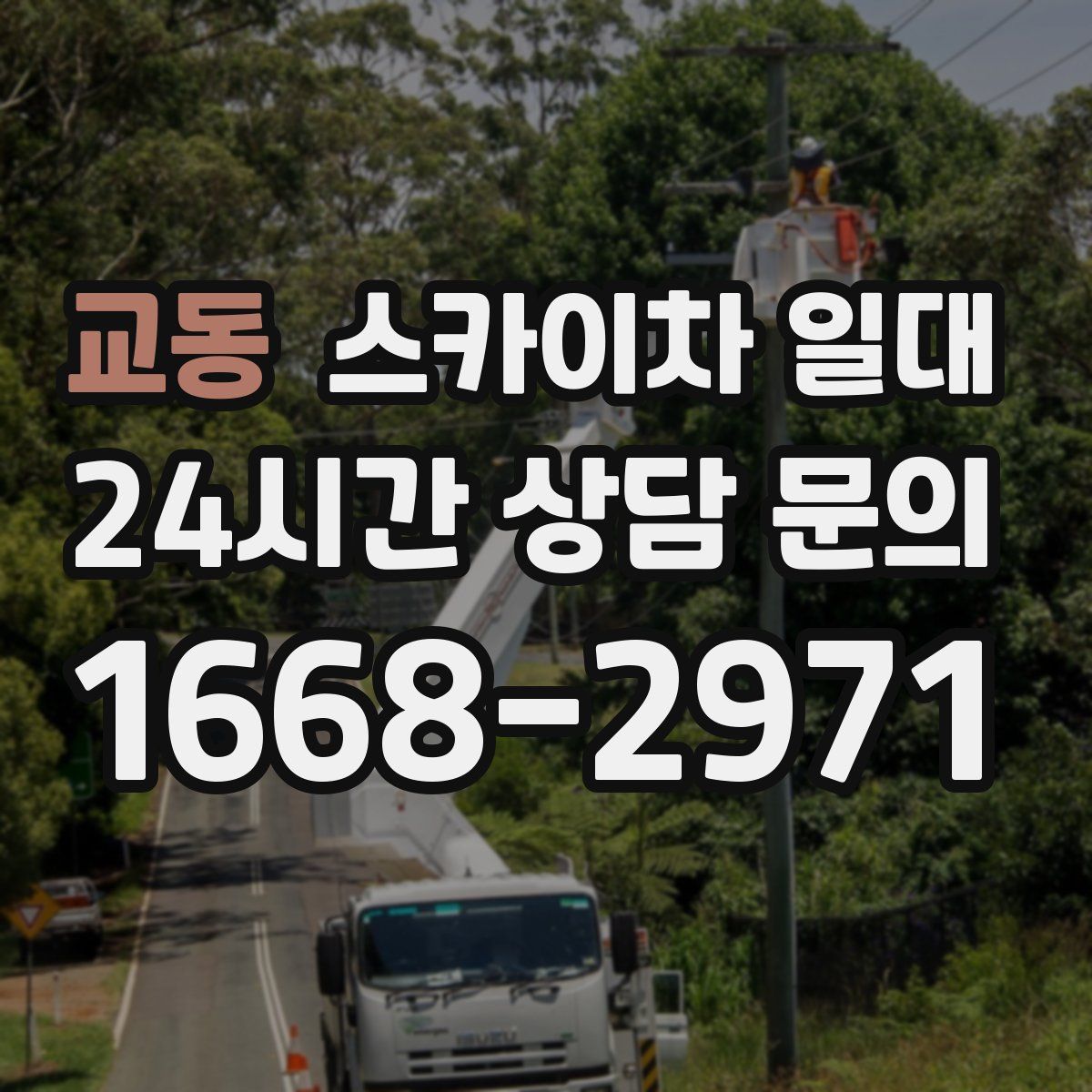 교동 스카이차 일대