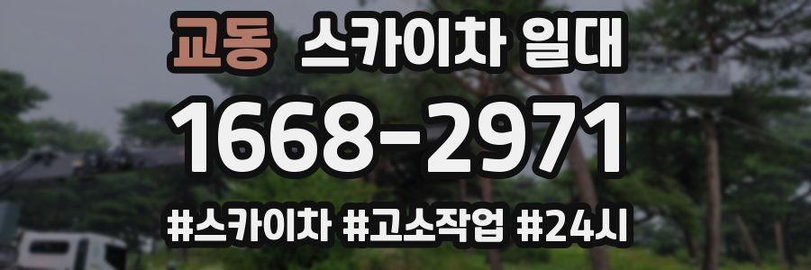 교동 스카이차 일대