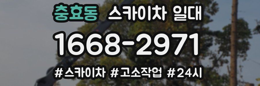 충효동 스카이차 일대