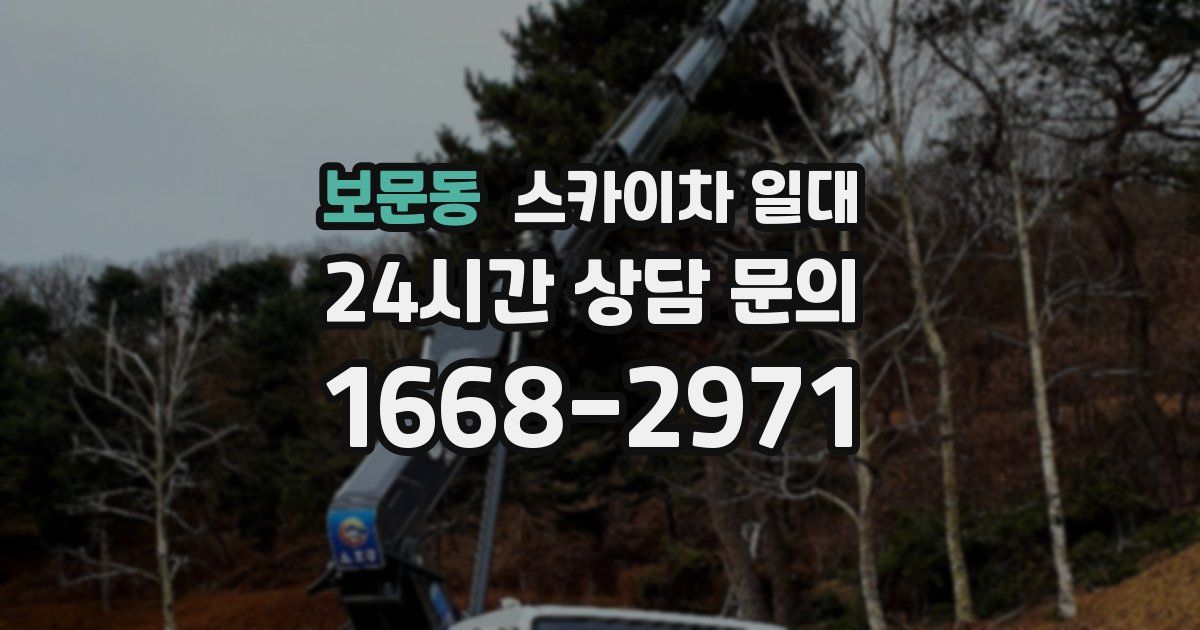 보문동 스카이차 일대