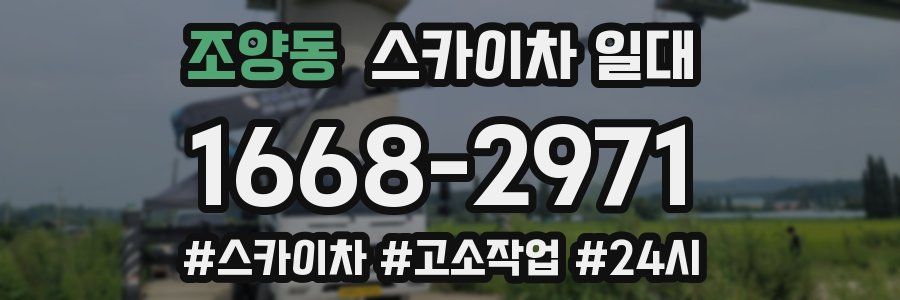 조양동 스카이차 일대