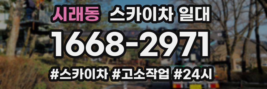 시래동 스카이차 일대