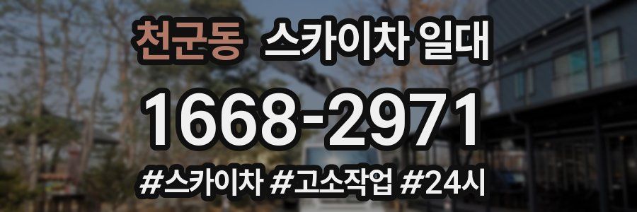천군동 스카이차 일대