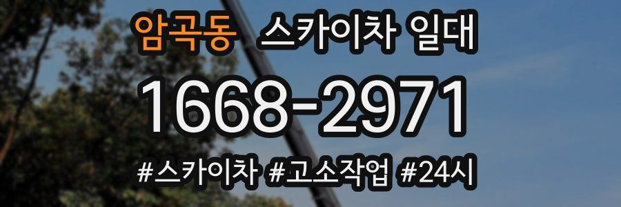 암곡동 스카이차 일대