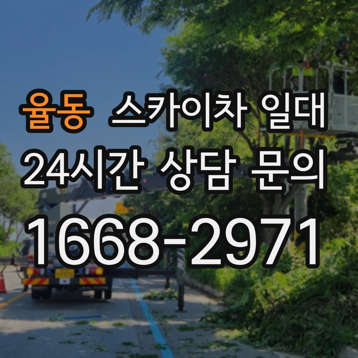 율동 스카이차 일대 사다리 작업보다 유리한 상황