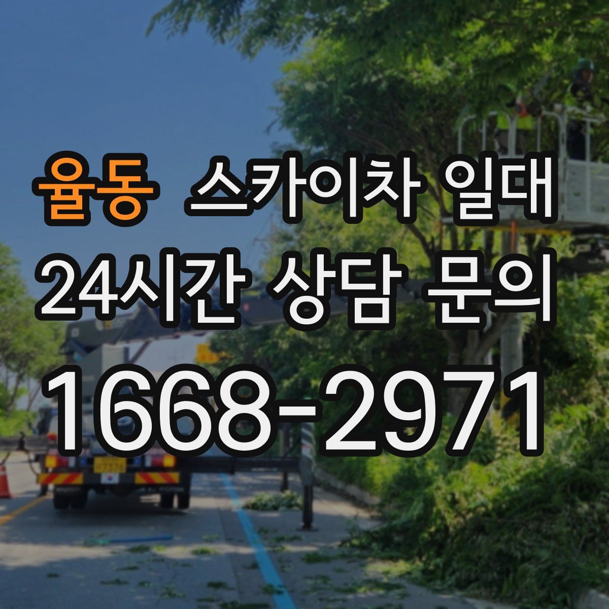 율동 스카이차 일대