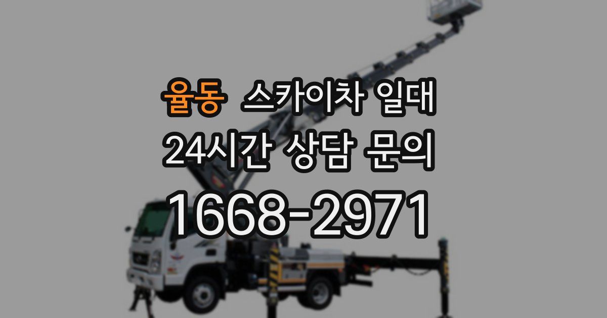 율동 스카이차 일대