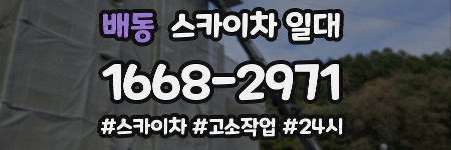 배동 스카이차 일대