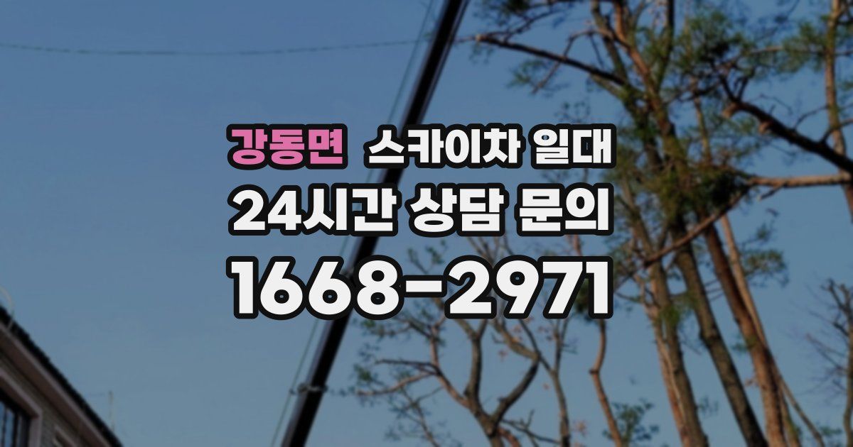 강동면 스카이차 일대