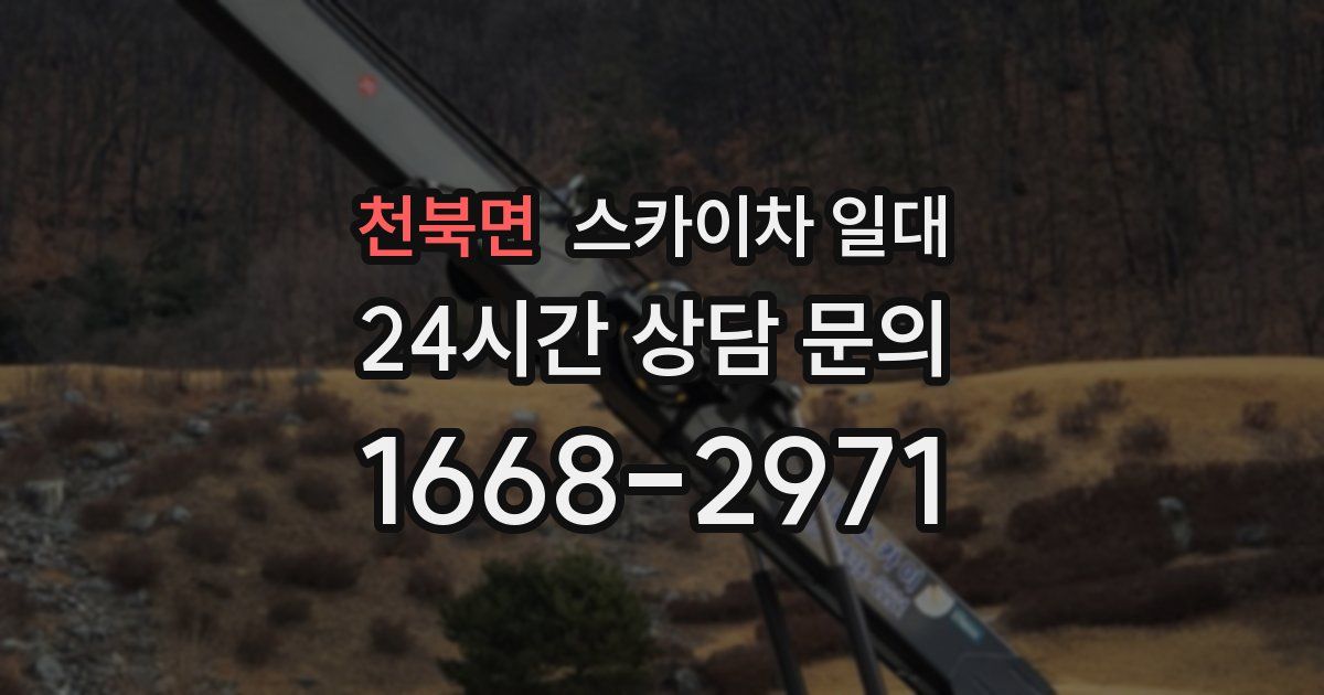 천북면 스카이차 일대