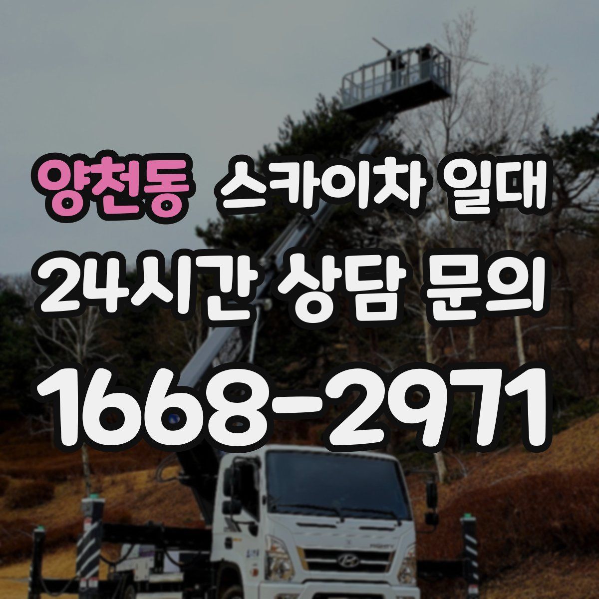 양천동 스카이차 일대