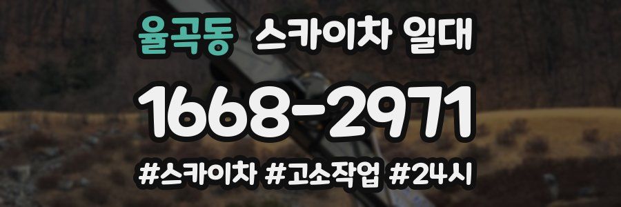 율곡동 스카이차 일대