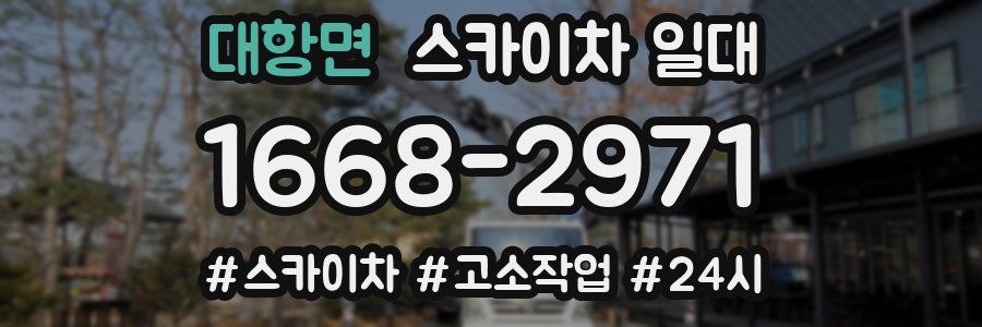 대항면 스카이차 일대