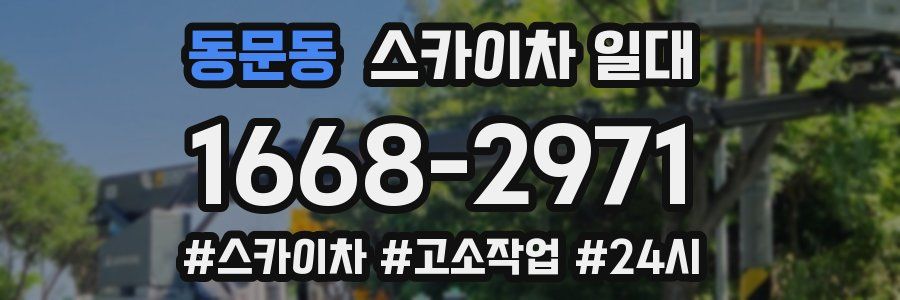 동문동 스카이차 일대