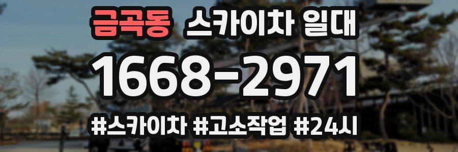 금곡동 스카이차 일대