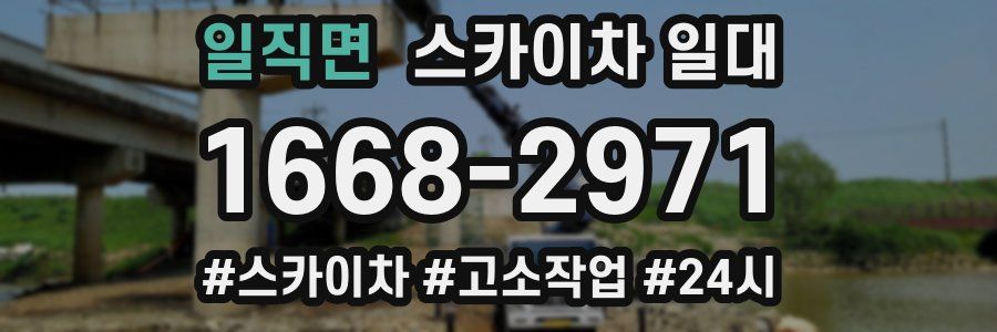 일직면 스카이차 일대