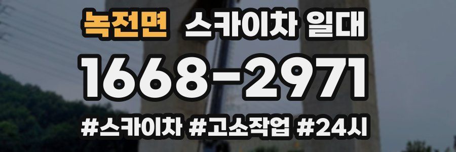 녹전면 스카이차 일대