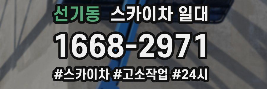 선기동 스카이차 일대
