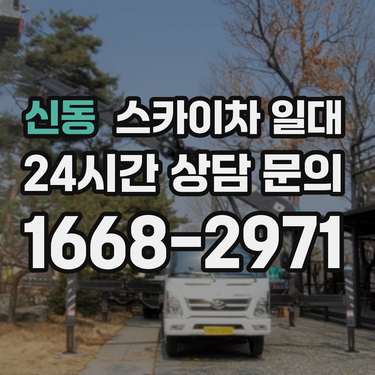 신동 스카이차 일대