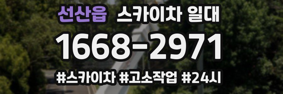 선산읍 스카이차 일대