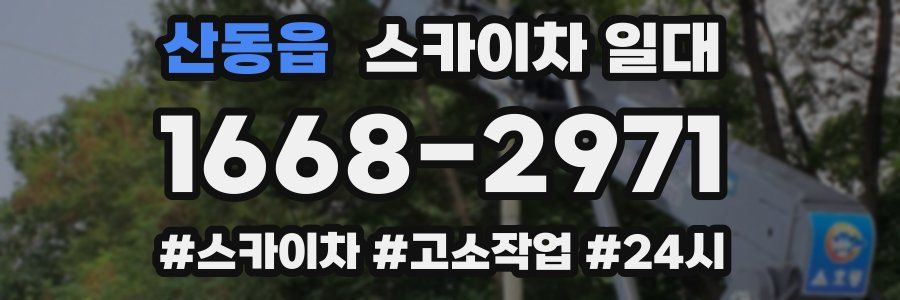 산동읍 스카이차 일대
