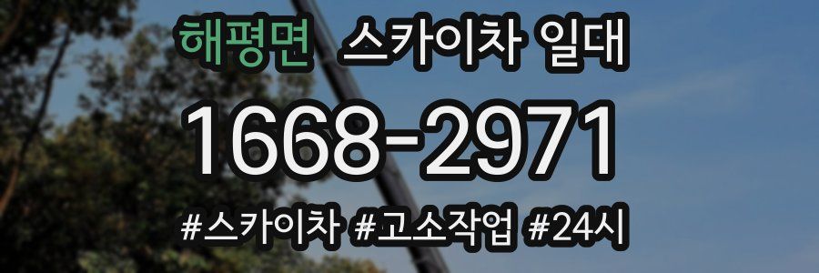 해평면 스카이차 일대