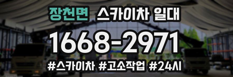 장천면 스카이차 일대