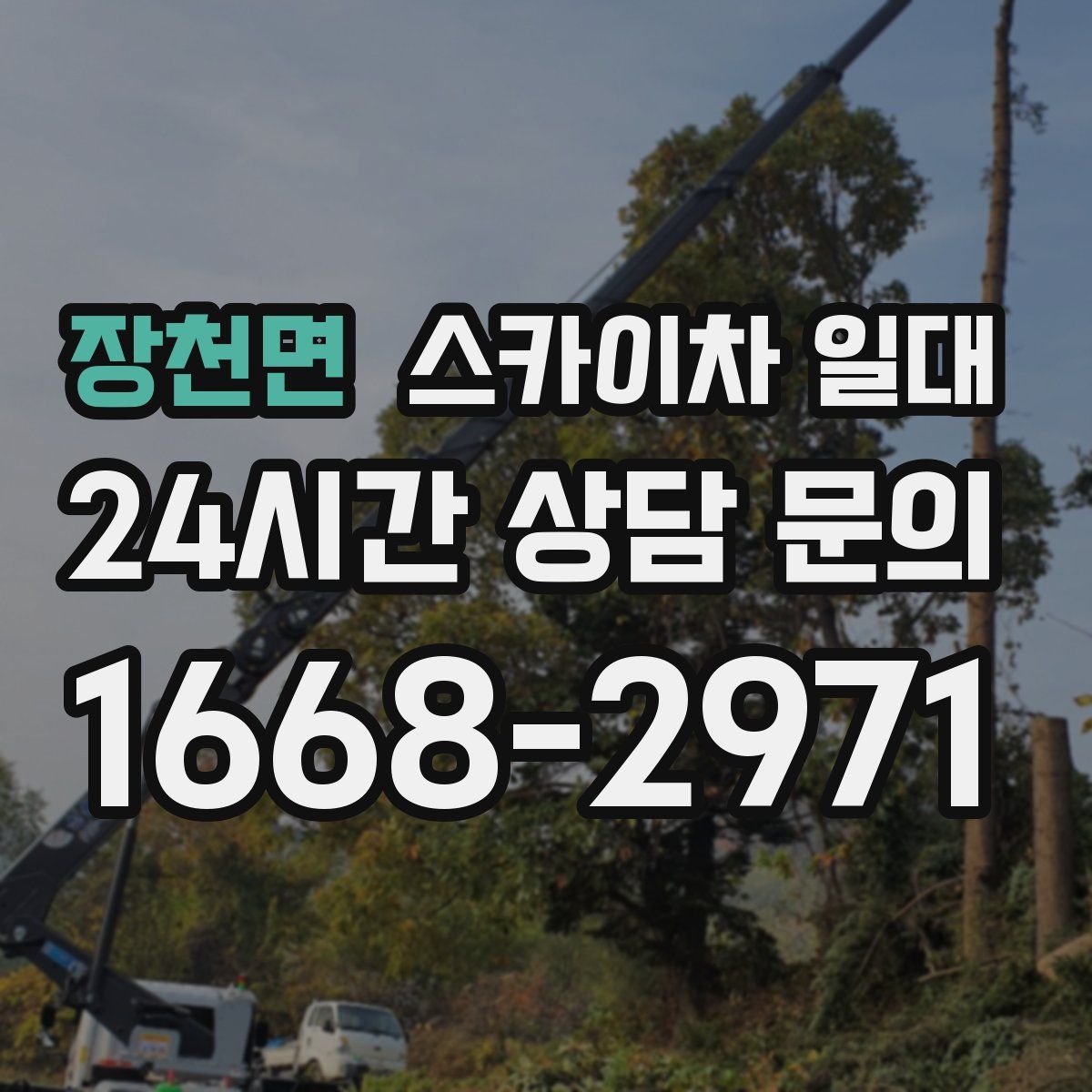 장천면 스카이차 일대