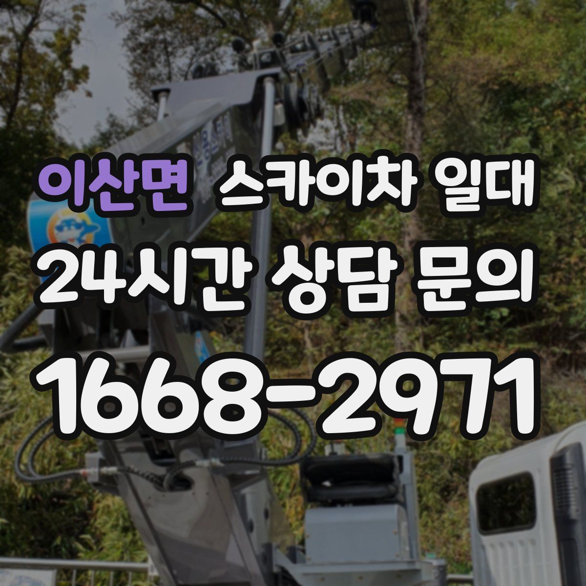 이산면 스카이차 일대