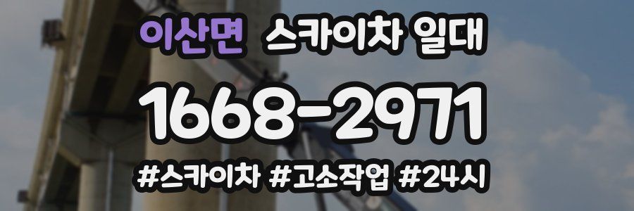 이산면 스카이차 일대