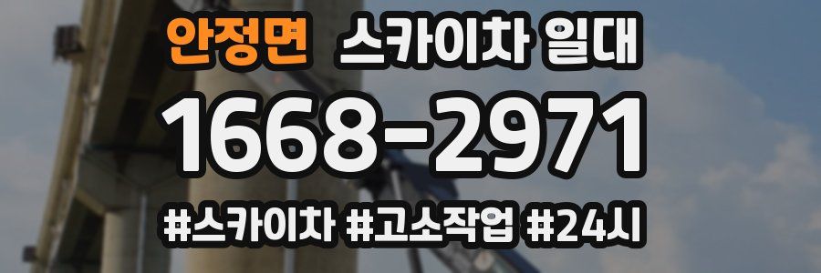 안정면 스카이차 일대