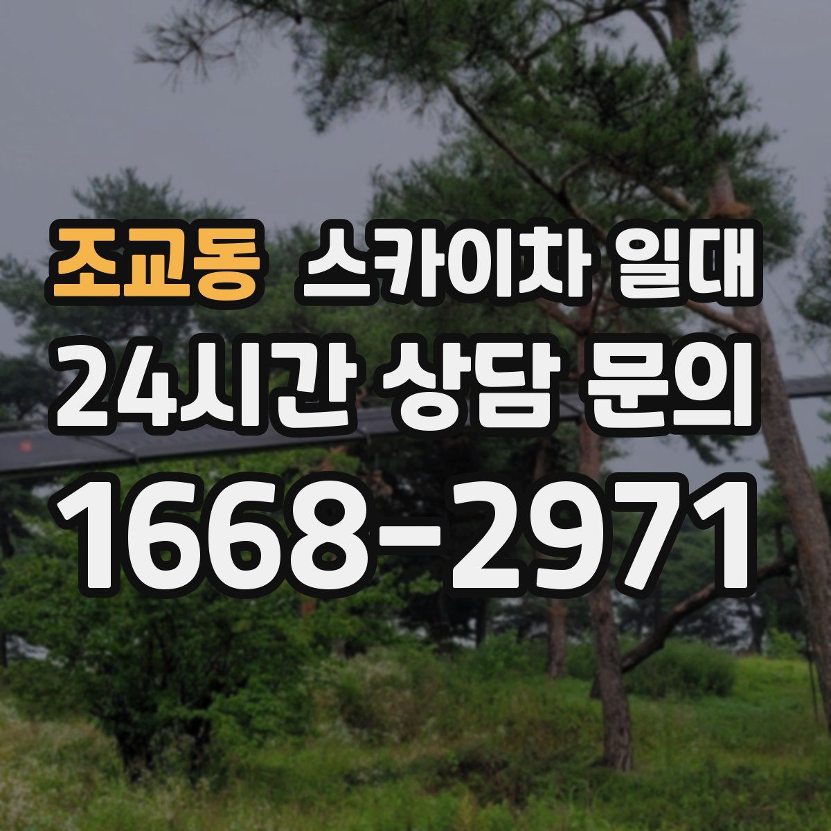 조교동 스카이차 일대